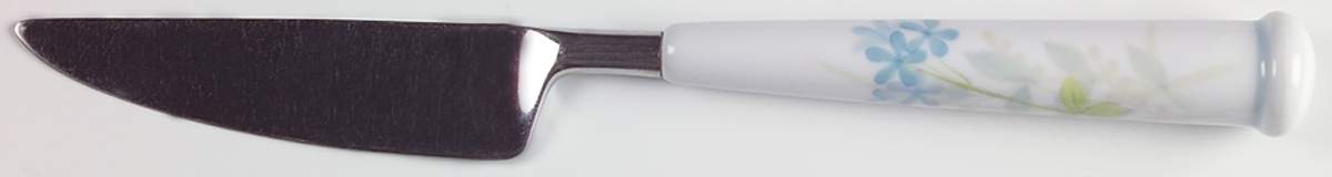 Bewitch Small Dinner Knife by Noritake-1