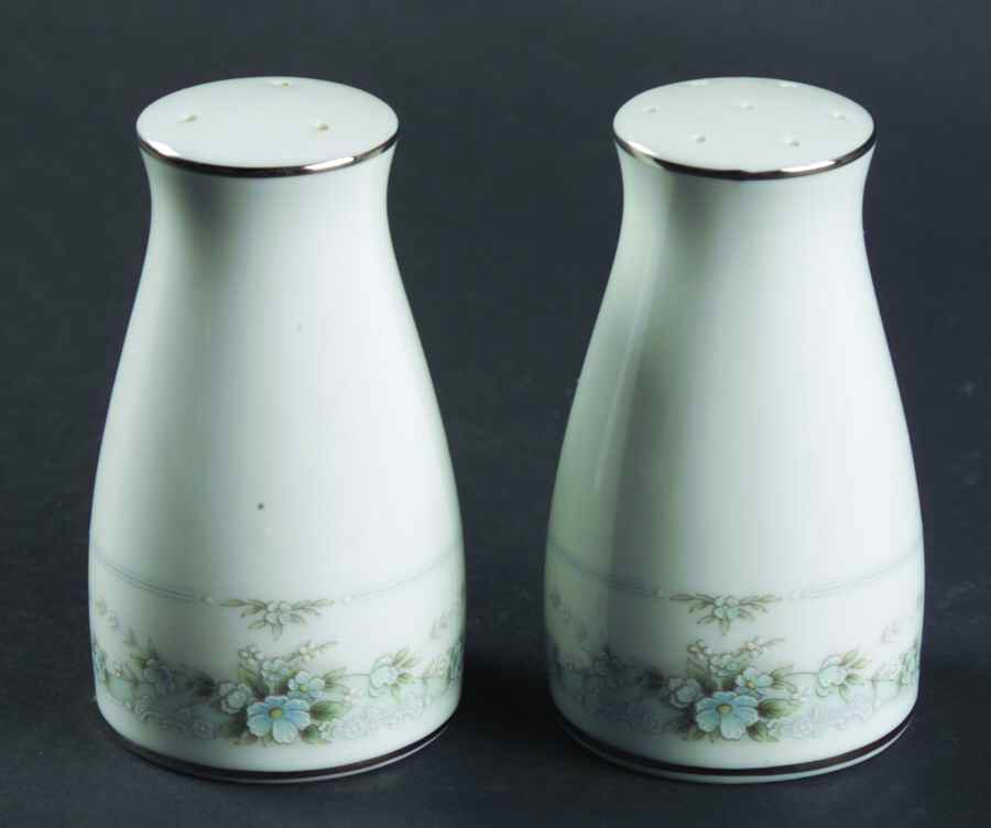 Brookfield Salt & Pepper Set by Noritake-1