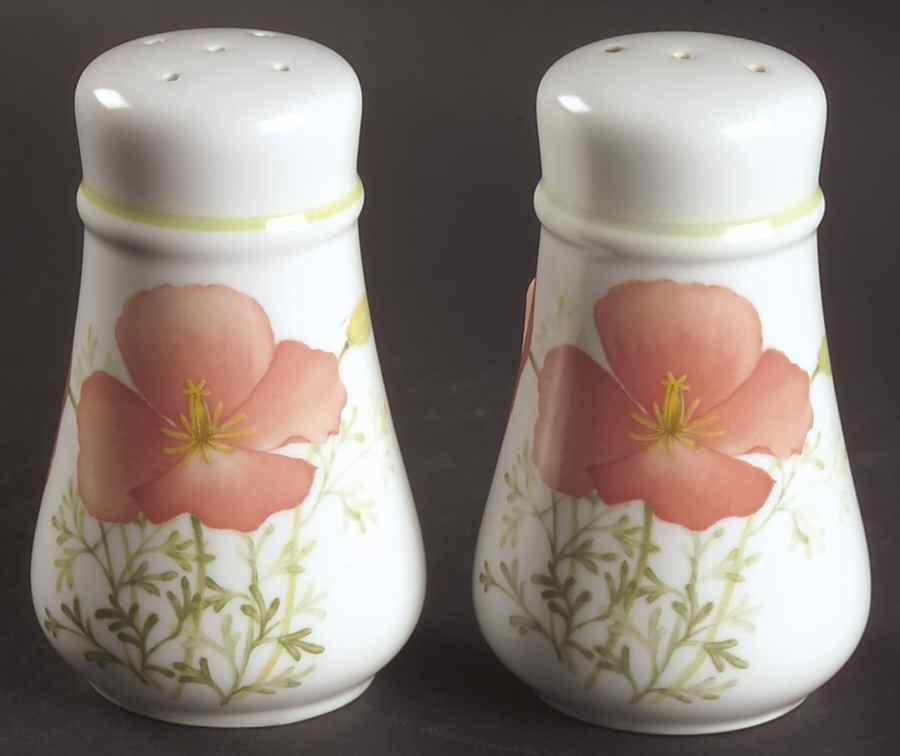 Bright Side Salt & Pepper Set by Noritake-1