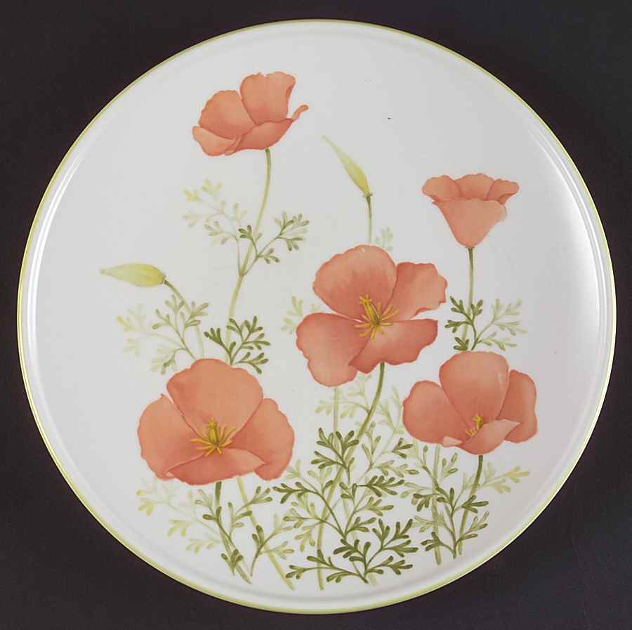 Bright Side Salad Plate by Noritake-1