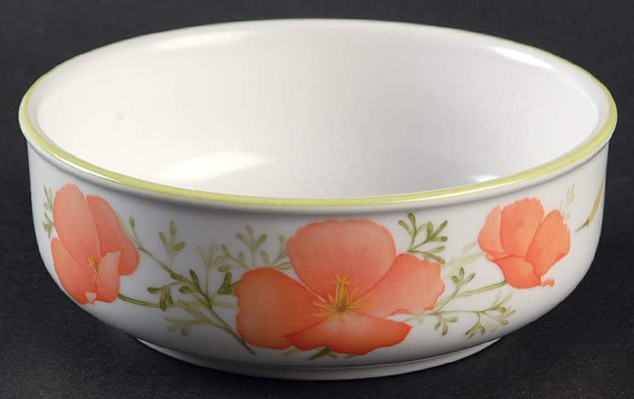 Bright Side Fruit/Dessert (Sauce) Bowl by Noritake-1