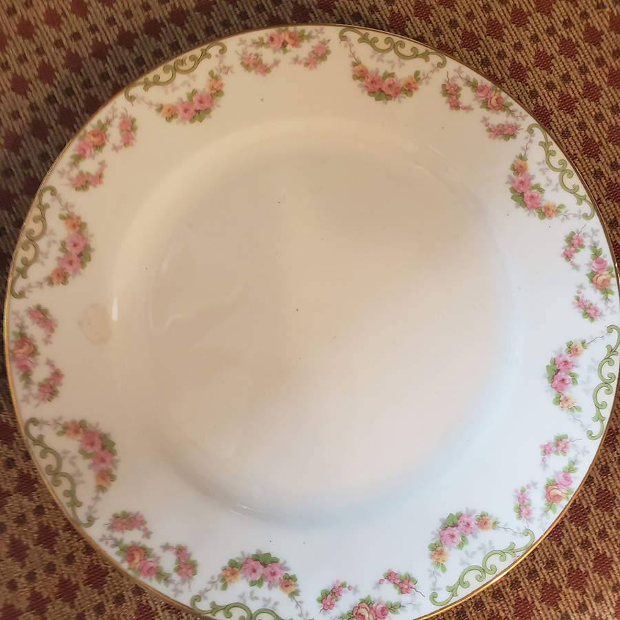 Bridal Wreath Luncheon Plate by Noritake-1