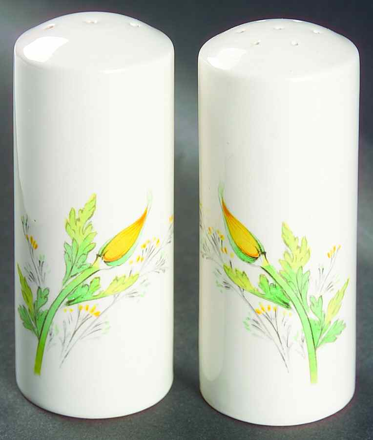 Buttercup Salt & Pepper Set by Noritake-1