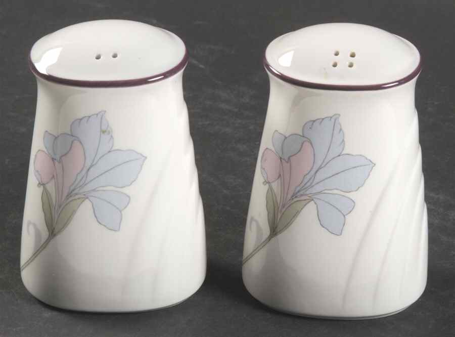 Cafe Du Jour Salt & Pepper Set by Noritake-1