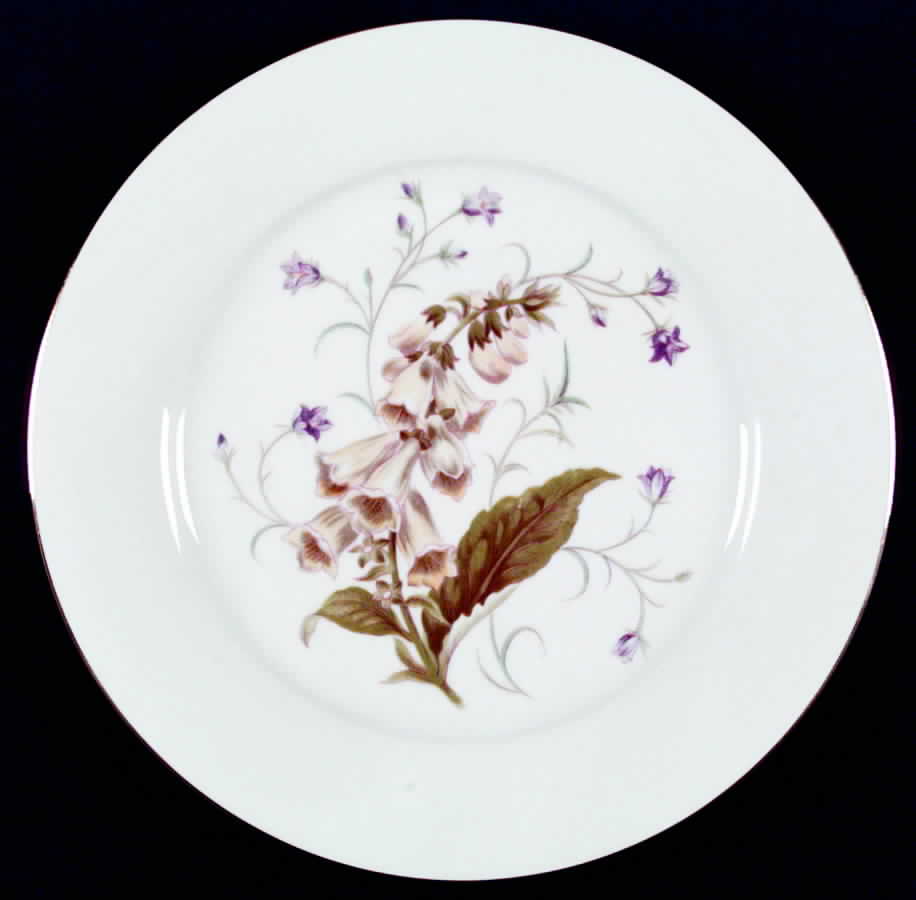 Canterbury Dinner Plate by Noritake-1