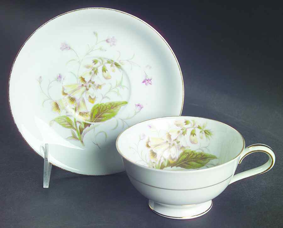 Canterbury Footed Cup & Saucer Set by Noritake-1