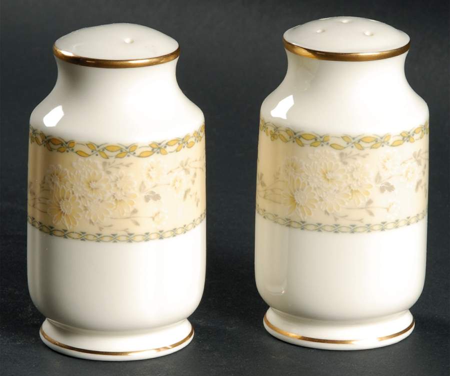 Chalfonte Salt & Pepper Set by Noritake-1