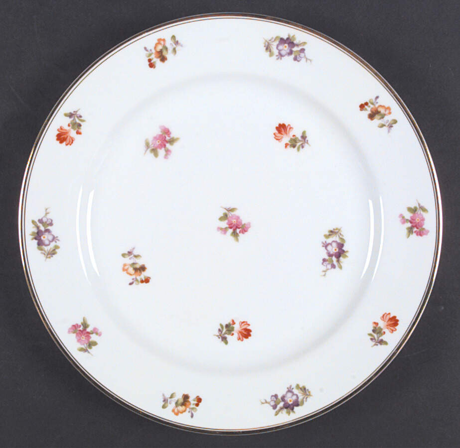 Chintz Dinner Plate by Noritake-1
