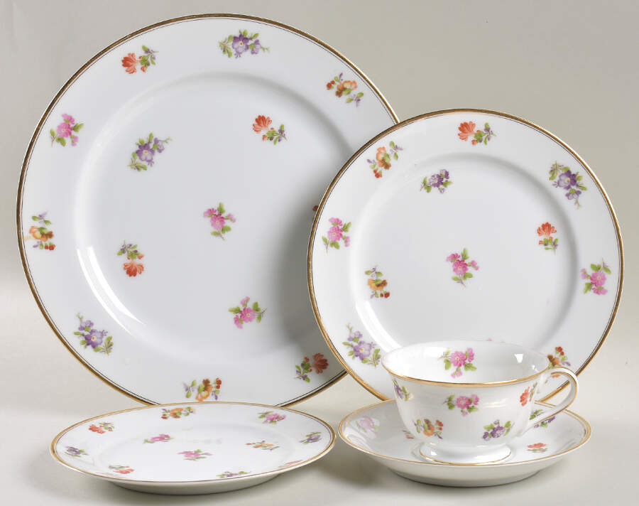Chintz 5 Piece Place Setting by Noritake-1