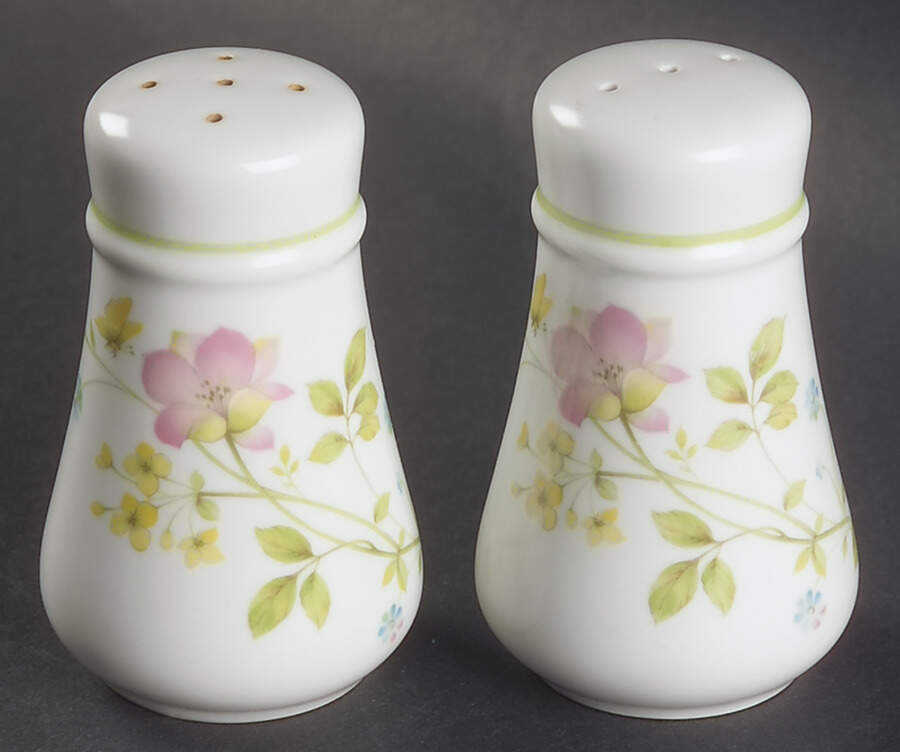 Clear Day Salt & Pepper Set by Noritake-1