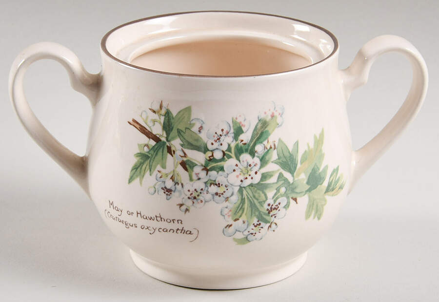 Country Diary Edwardian Lady Sugar Bowl No Lid by Noritake-1