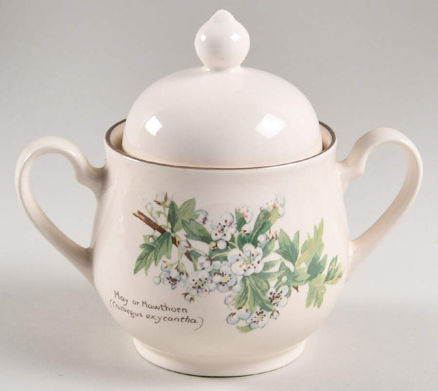 Country Diary Edwardian Lady Sugar Bowl & Lid by Noritake-1