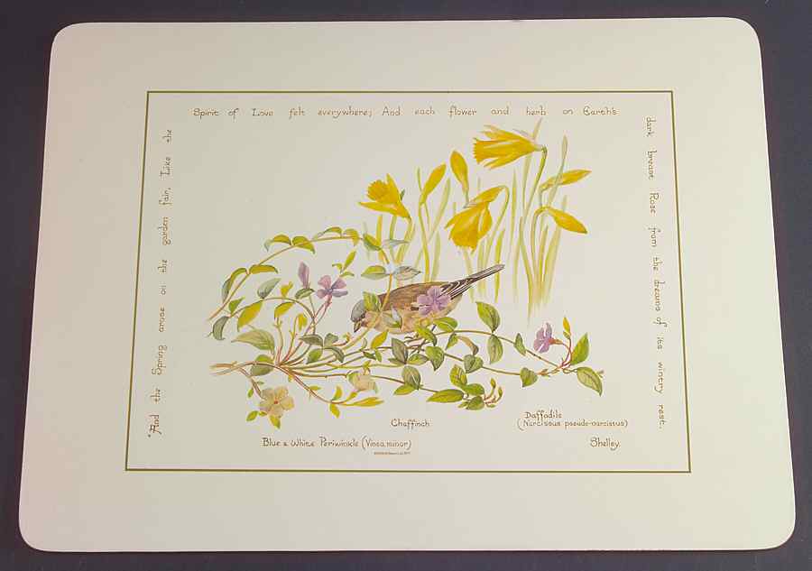 Country Diary Edwardian Lady Corkboard Placemat by Noritake-1