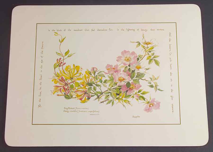 Country Diary Edwardian Lady Corkboard Placemat by Noritake-1
