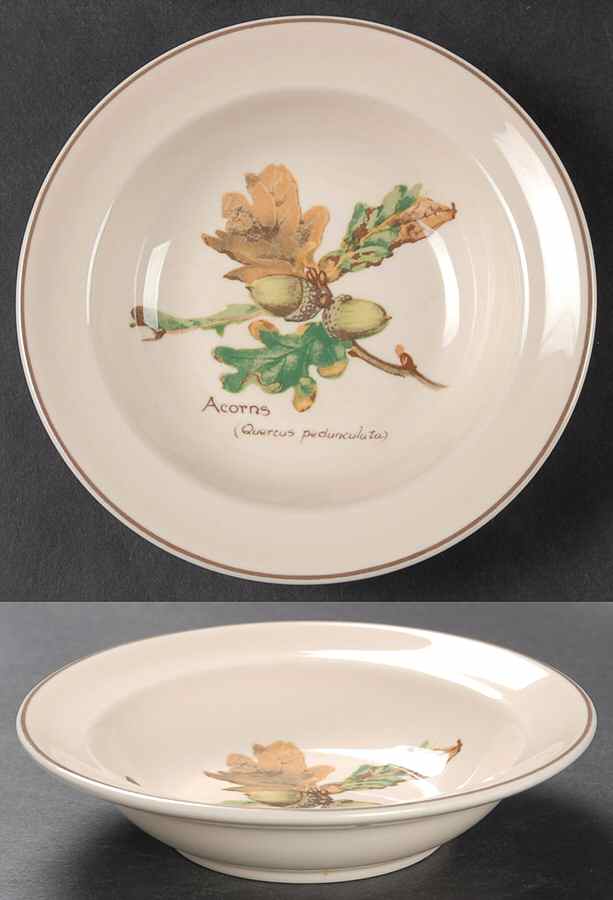 Country Diary Edwardian Lady Rim Fruit/Dessert (Sauce) Bowl by Noritake-1
