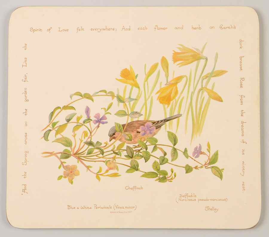 Country Diary Edwardian Lady Rectangular Cork Back Trivet by Noritake-1