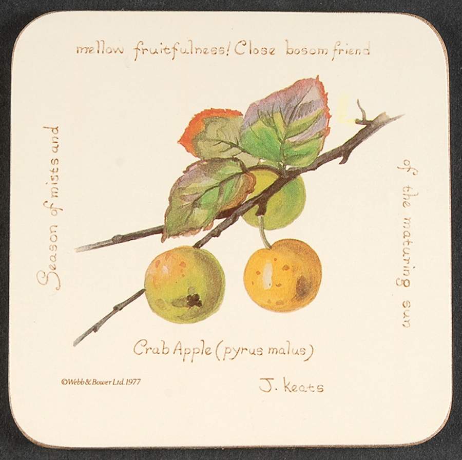 Country Diary Edwardian Lady Square Corkback Coaster by Noritake-1