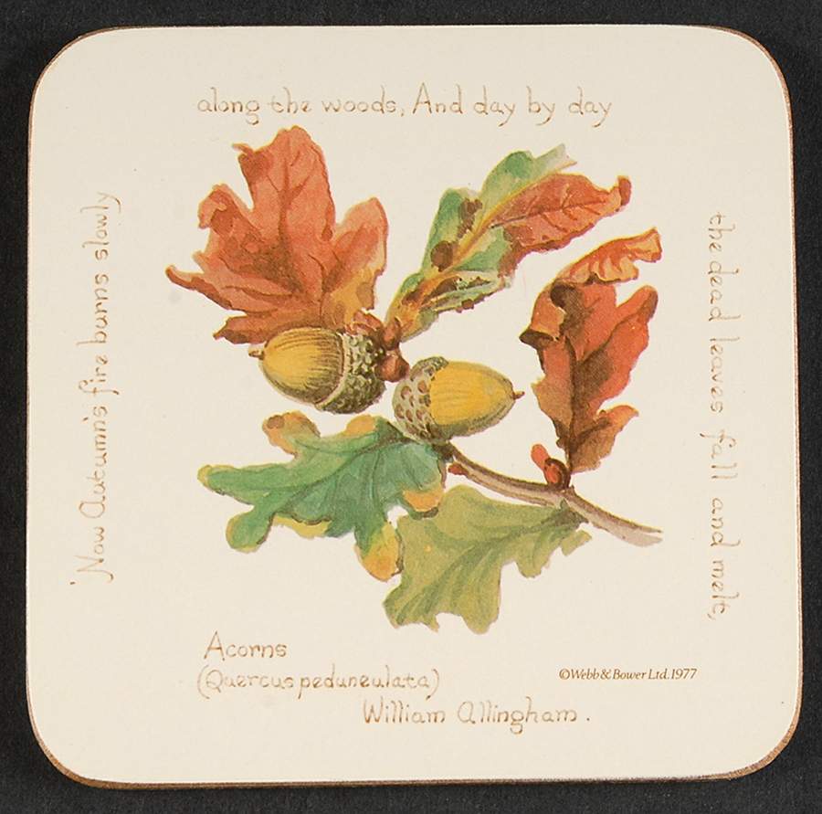 Country Diary Edwardian Lady Square Corkback Coaster by Noritake-1