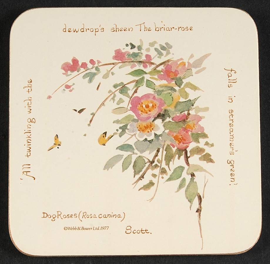 Country Diary Edwardian Lady Square Corkback Coaster by Noritake-1