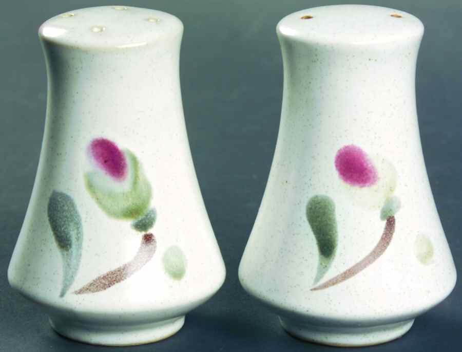 County Fair Salt & Pepper Set by Noritake-1