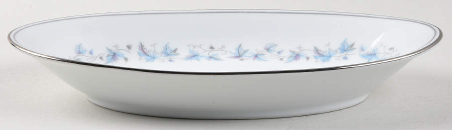 Concord (Platinum Trim) Relish by Noritake-1