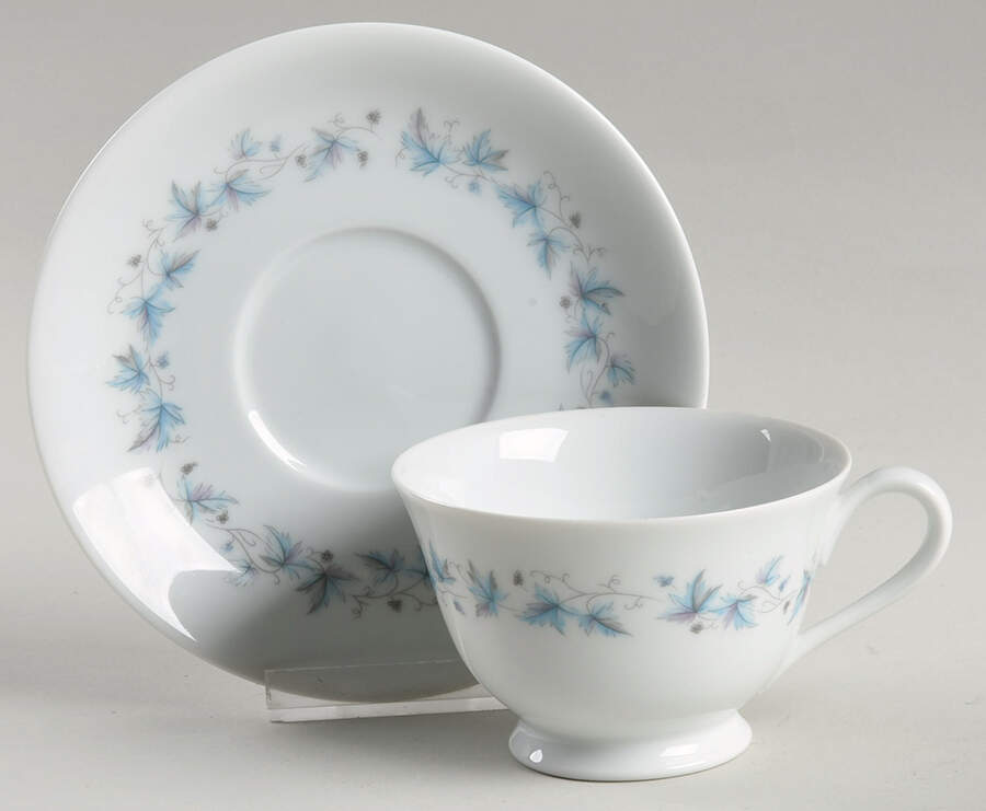 Concord (Platinum Trim) Footed Cup & Saucer Set by Noritake-1