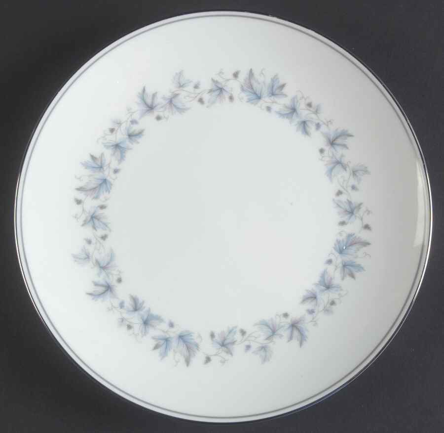 Concord (Platinum Trim) Salad Plate by Noritake-1
