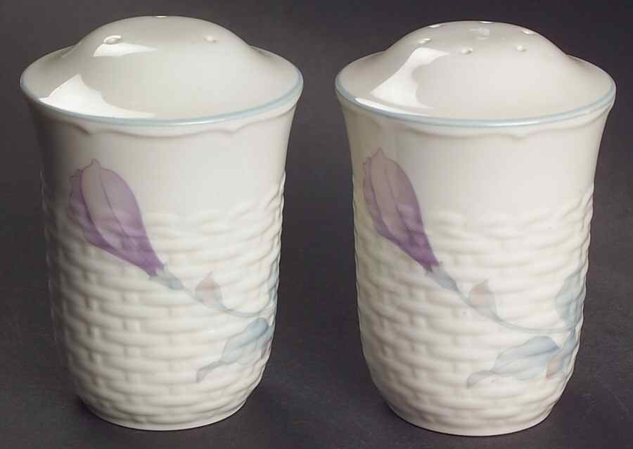 Coram Salt & Pepper Set by Noritake-1