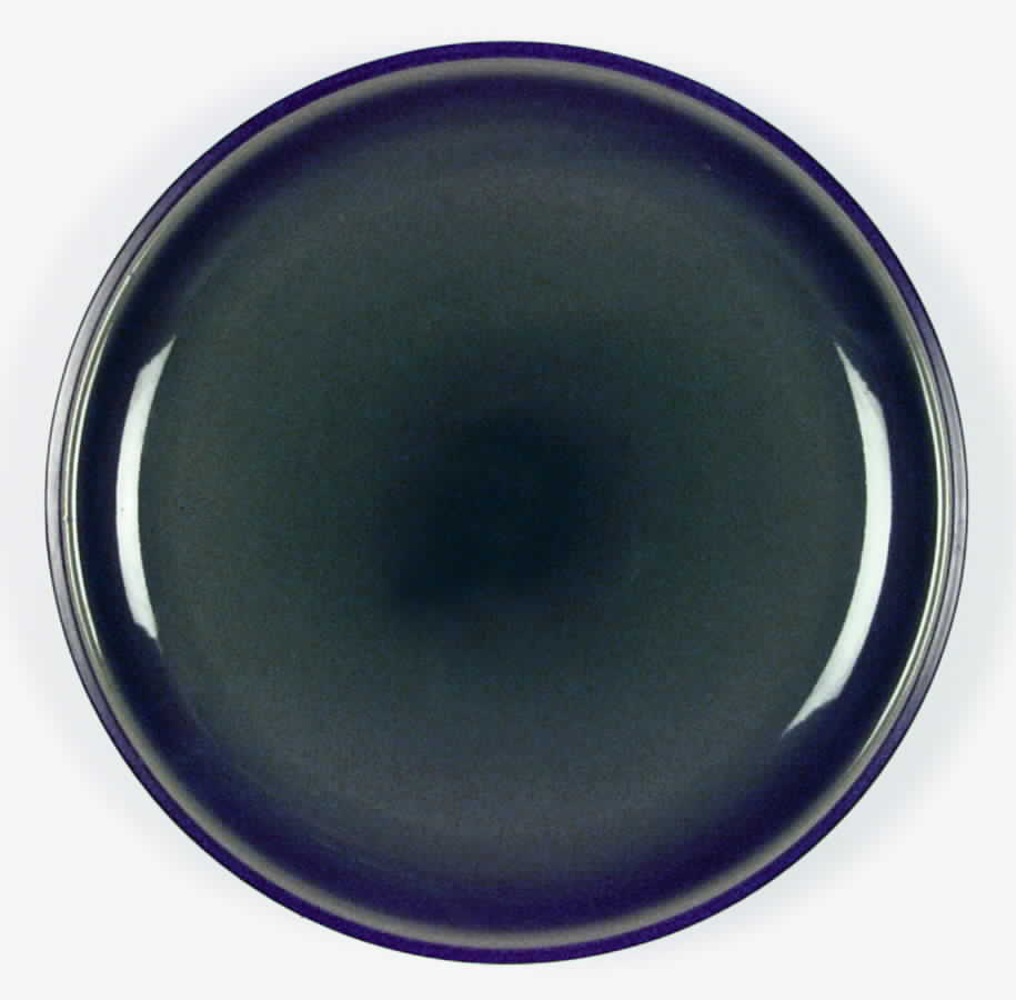 Cosmos Dinner Plate by Noritake-1
