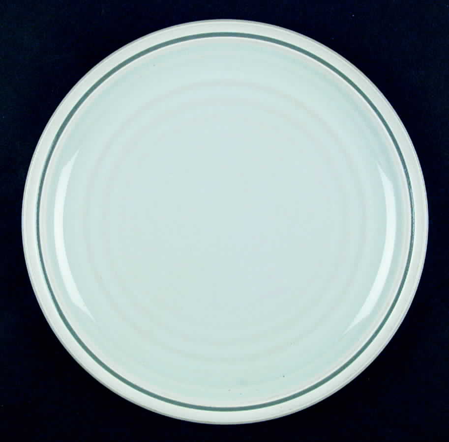 Cycle Frost Dinner Plate by Noritake-1