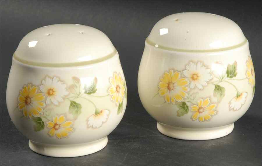 Daisygarland Salt & Pepper Set by Noritake-1