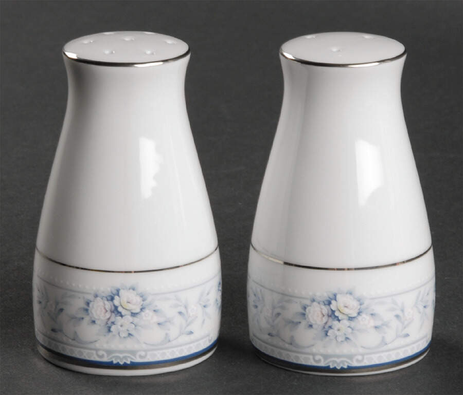 Dearborn Salt & Pepper Set by Noritake-1