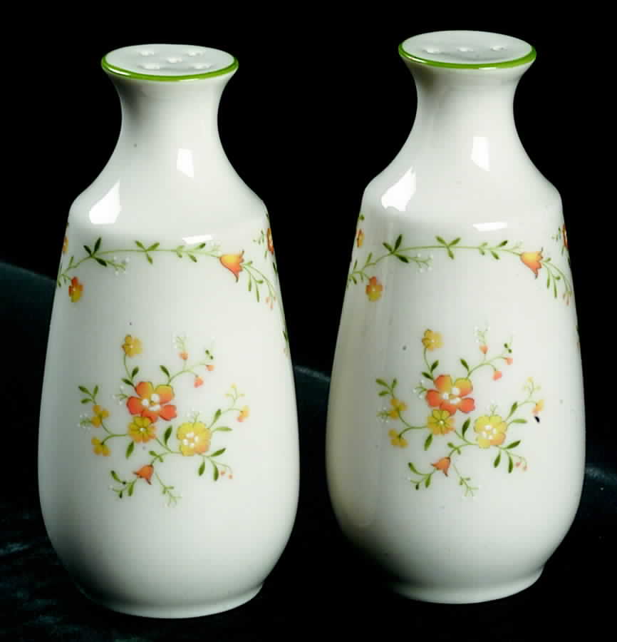 Debut Salt & Pepper Set by Noritake-1