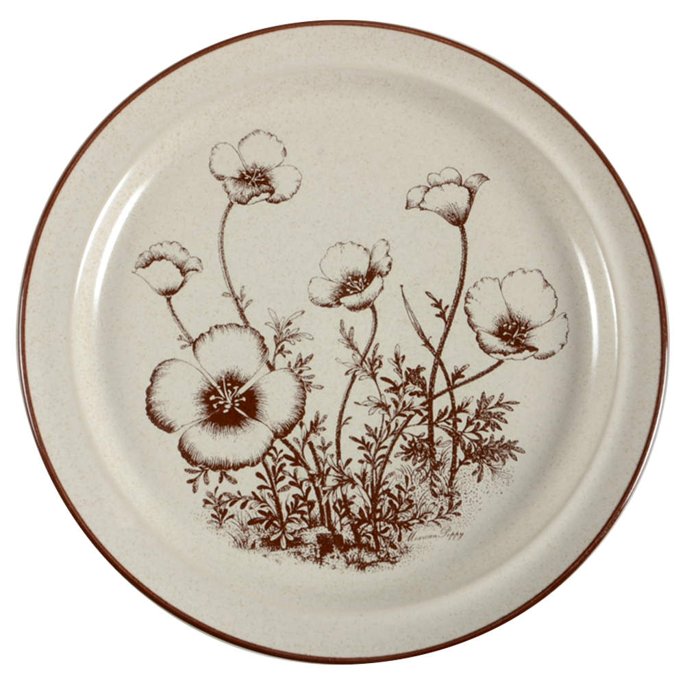 Desert Flowers Dinner Plate by Noritake-1
