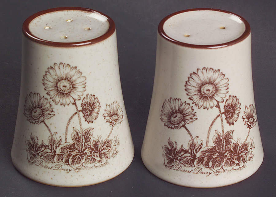 Desert Flowers Salt & Pepper Set by Noritake-1