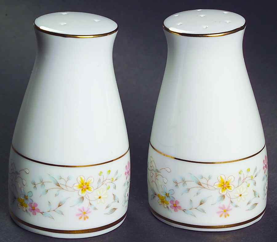 Delevan Salt & Pepper Set by Noritake-1