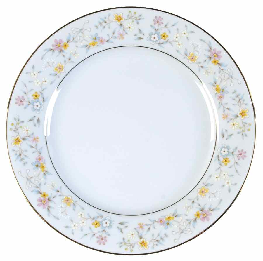 Delevan Salad Plate by Noritake-1