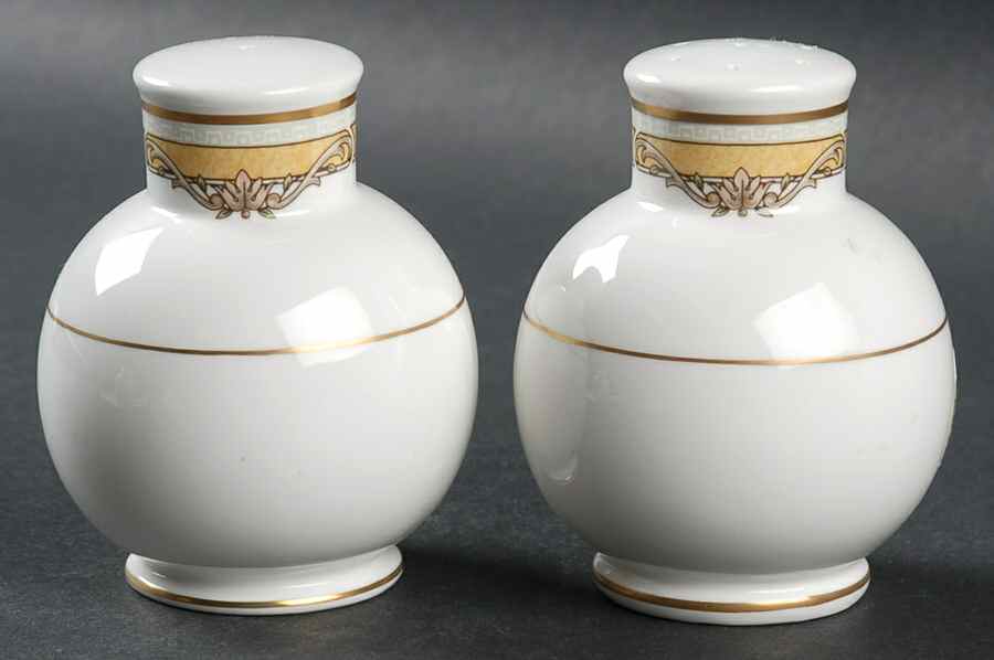 Delacroix Salt & Pepper Set by Noritake-1