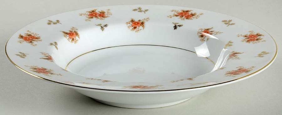 Dulcy Rim Soup Bowl by Noritake-1