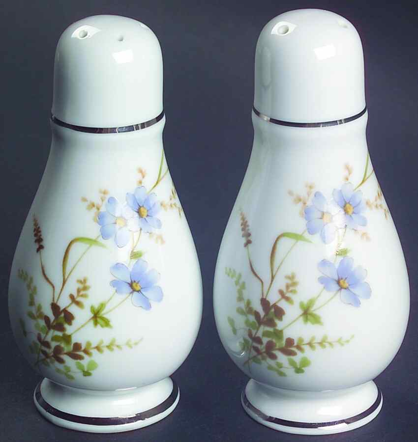 Edenderry Salt & Pepper Set by Noritake-1
