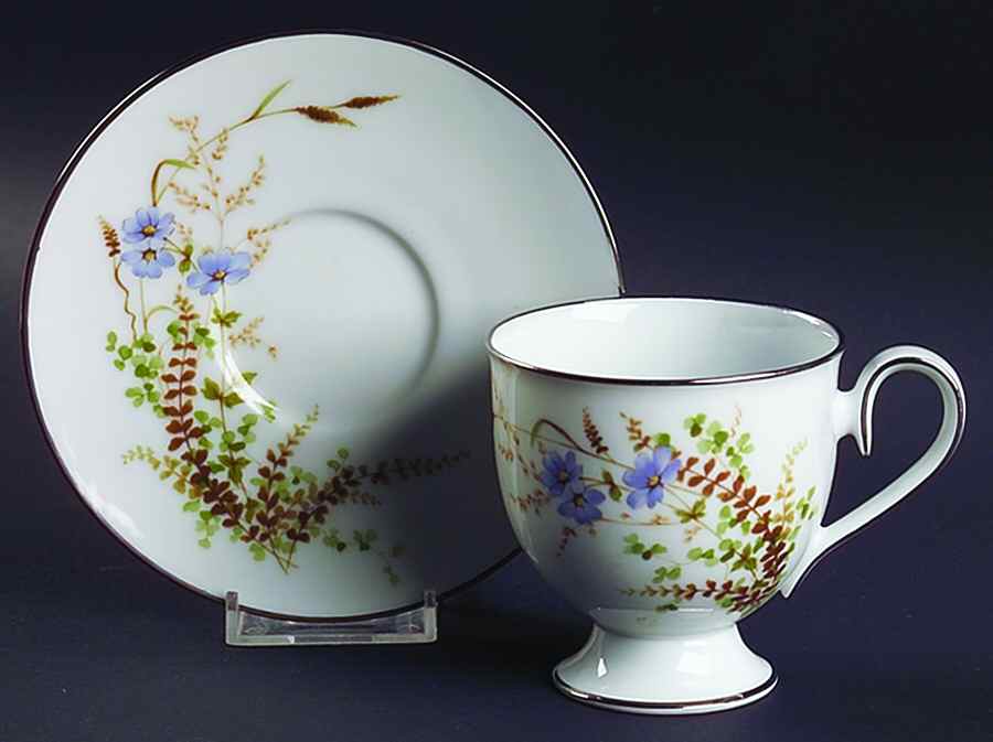 Edenderry Footed Cup & Saucer Set by Noritake-1