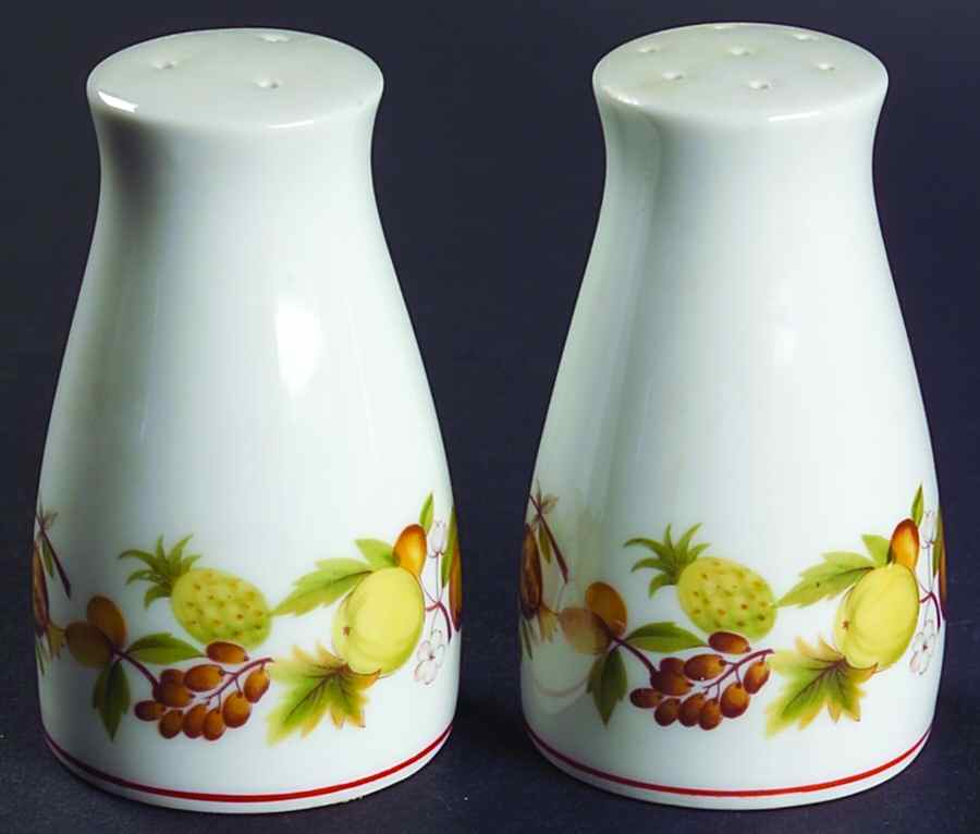 Elloree Salt & Pepper Set by Noritake-1