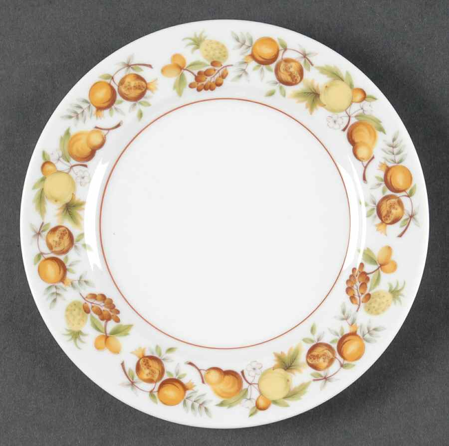 Elloree Bread & Butter Plate by Noritake-1