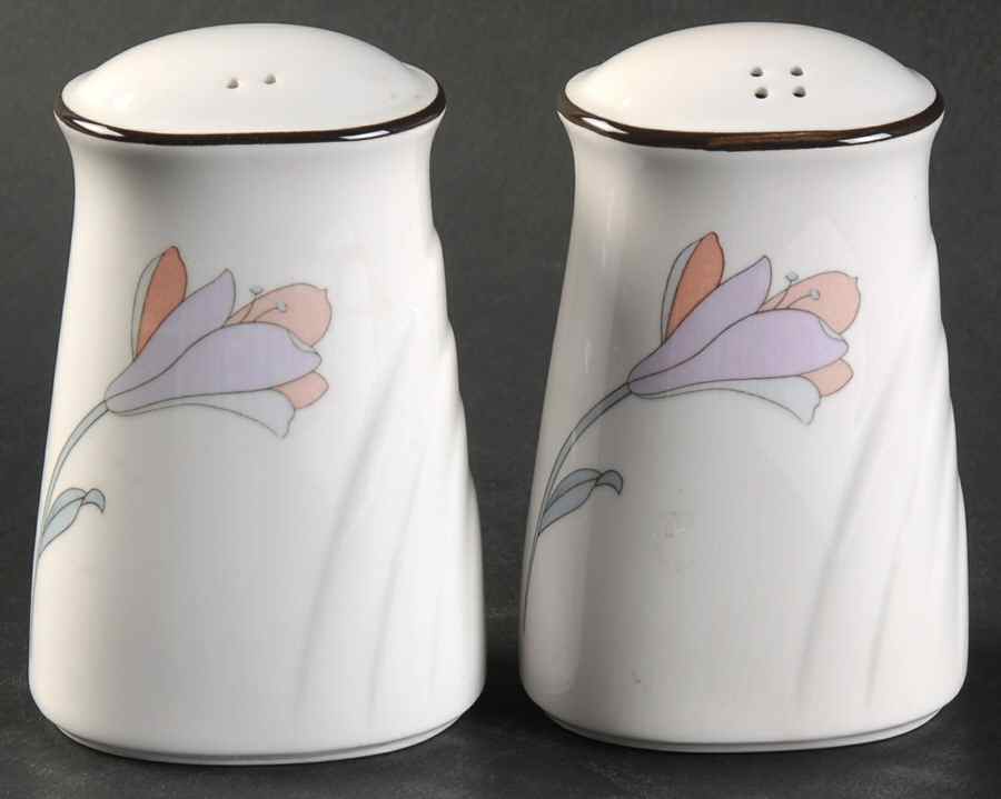 El Parador Salt & Pepper Set by Noritake-1