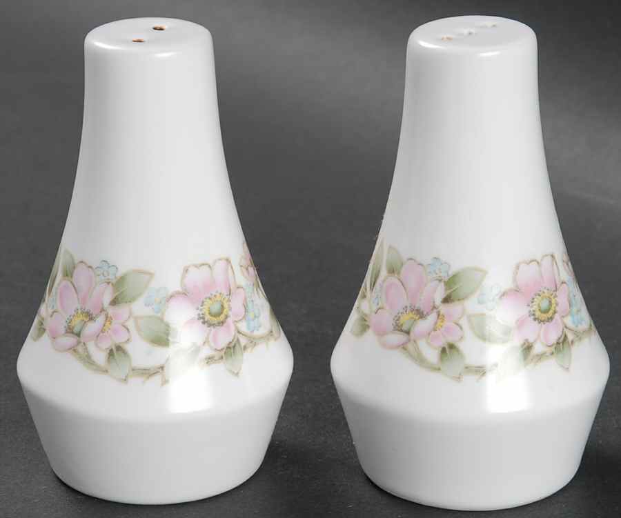 Elysian Salt & Pepper Set by Noritake-1