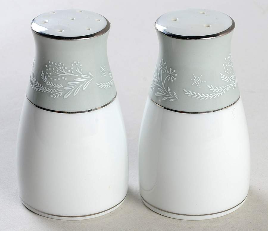 Embassy Salt & Pepper Set by Noritake-1