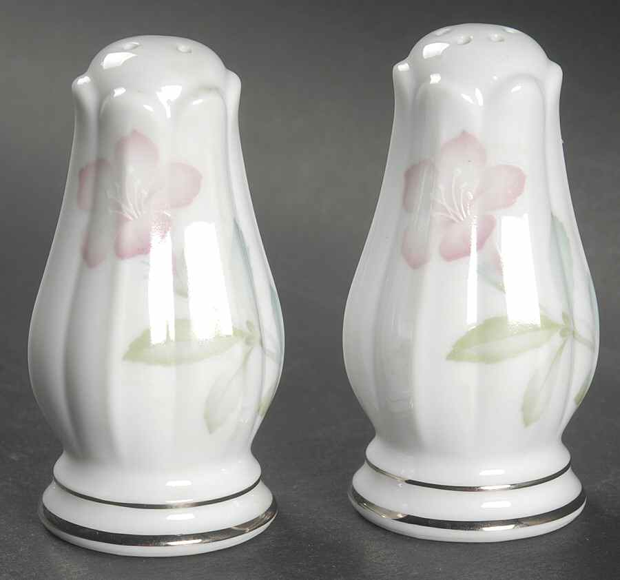 Enchantment Salt & Pepper Set by Noritake-1