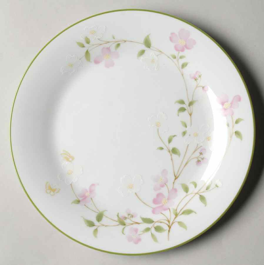First Blush Salad Plate by Noritake-1