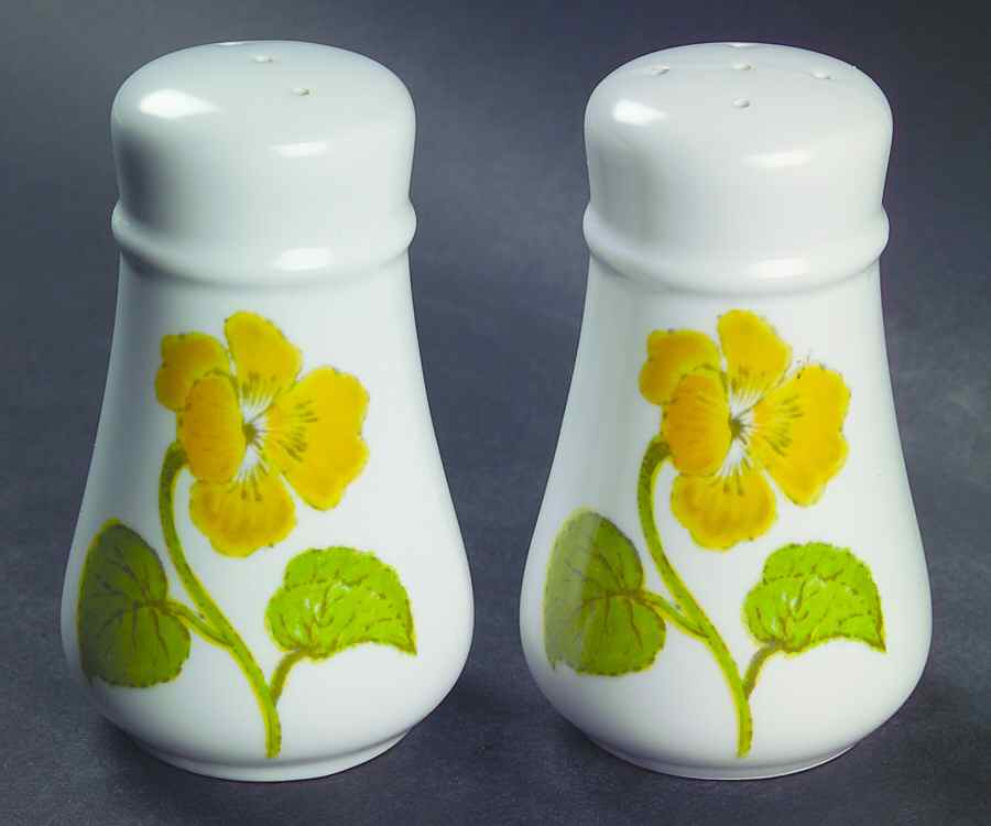Flower Time Salt & Pepper Set by Noritake-1