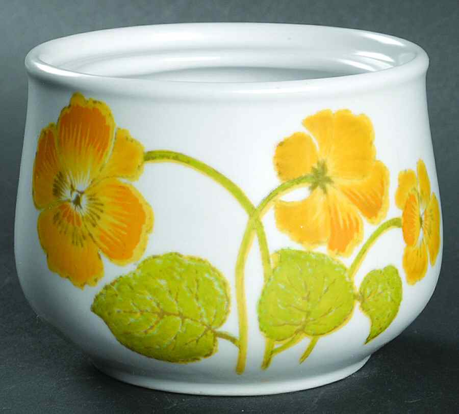 Flower Time Sugar Bowl No Lid by Noritake-1